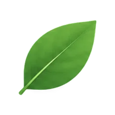 Clear Recipe logo